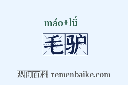 毛驴是什么意思的图片